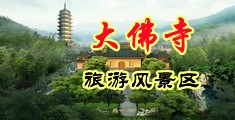 干小骚逼视网站.中国浙江-新昌大佛寺旅游风景区